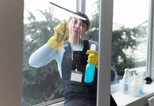 Nettoyage de vitres intérieures et extérieures au Gué-de-Longroi